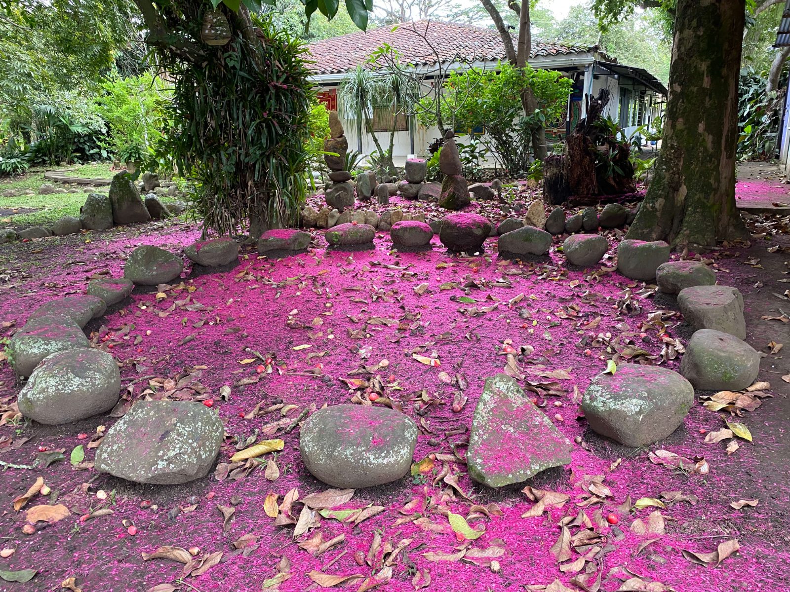 Jardín zen de pétalos y piedras de equilibrio